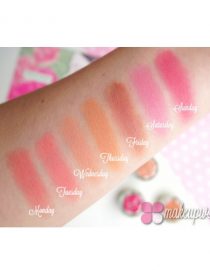 Blush Garden Neve Cosmetics
