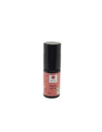 Supèrb Lip Oil Jules Amonì